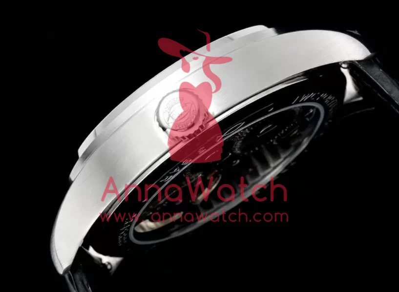 Portugieser IW545 42.4mm SS/LE White Dial RMSF Tourb - Image 5
