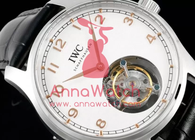 Portugieser IW545 42.4mm SS/LE White Dial RMSF Tourb - Image 4