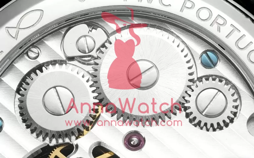 Portugieser IW545 42.4mm SS/LE White Dial RMSF Tourb - Image 9