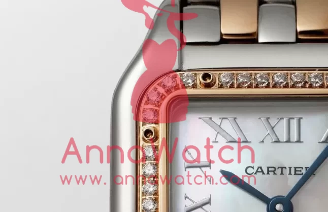 Panthere Secrete De Ladies 27mm Dia RG/SS Mop Dial AF Quartz - Image 6