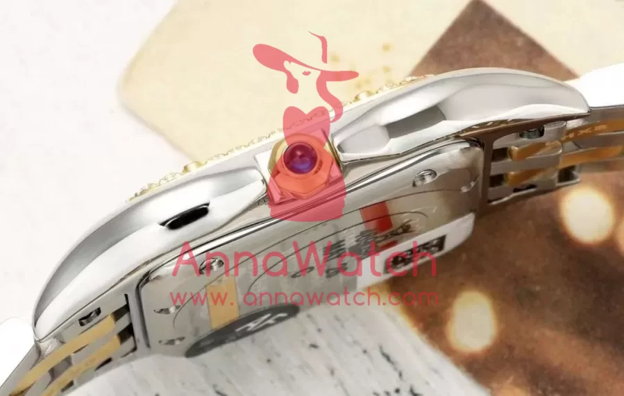 Panthere Secrete De Ladies 27mm Dia YG/SS Gold Brown Dial AF Quartz - Image 8