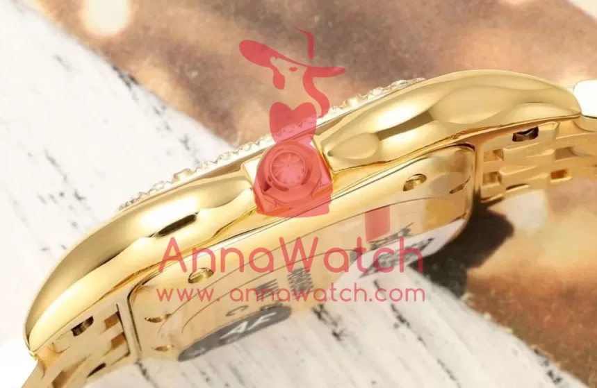 Panthere Secrete De Ladies 27mm Dia YG/YG Gold Brown Dial AF Quartz - Image 8